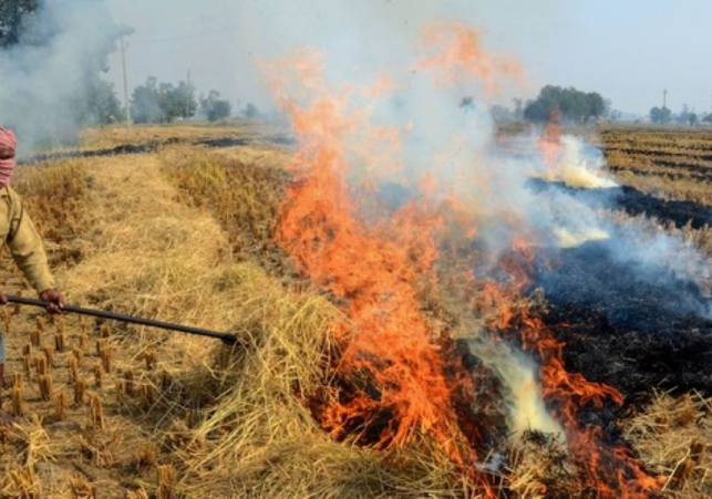 Stubble burning in Punjab