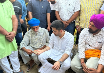 Damaged Crop In Punjab